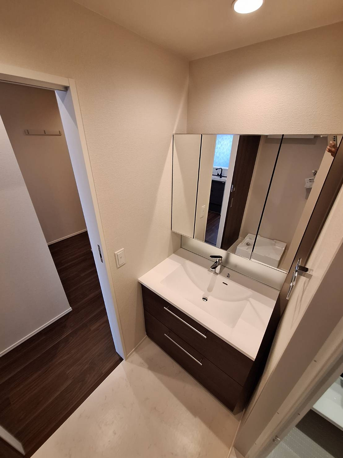 ブラッサム東海岸の独立洗面台