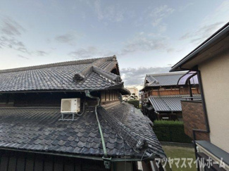 【展望】 | Ranunculus