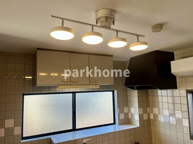 ＳＩＮＡＪＹＵＲＩＭＥ・ＧＲＥＥＮ（シナジュライム・グリーン）のその他|キッチン　照明