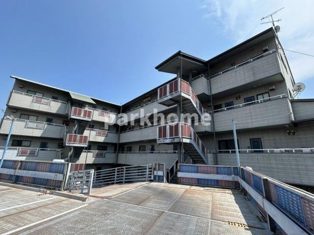 ＳＩＮＡＪＹＵＲＩＭＥ・ＧＲＥＥＮ（シナジュライム・グリーン）