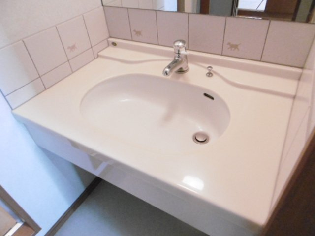 メイブラッサムの洗面所