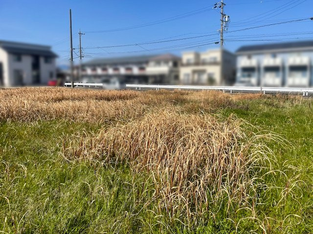 鈴鹿市野町中1丁目の前面道路含む現地写真