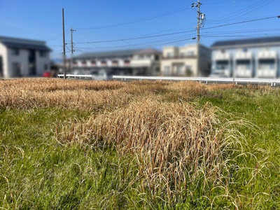 【前面道路含む現地写真】 | 鈴鹿市野町中1丁目