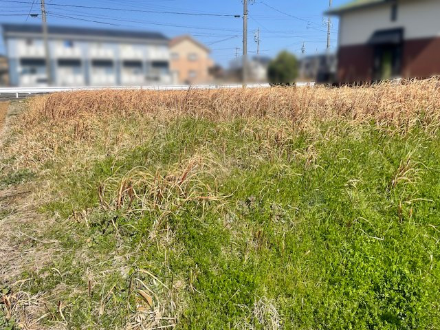 鈴鹿市野町中1丁目の前面道路含む現地写真