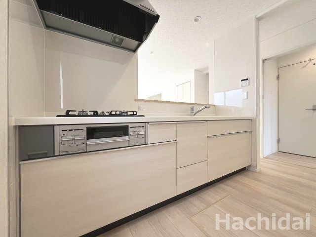 碧南市相生町第1（新築一戸建）のキッチン