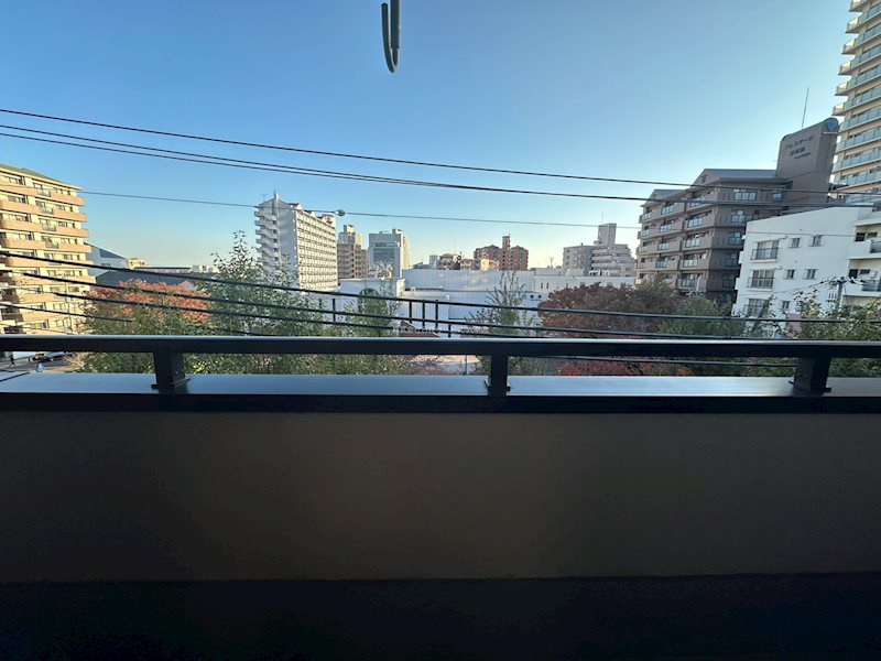 ヒノデハットの展望