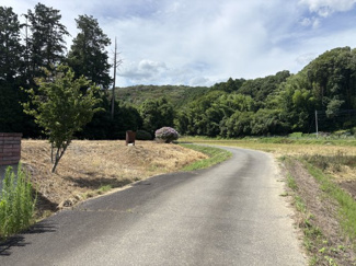 【前面道路含む現地写真】 | 桜川市入野203.88坪売地