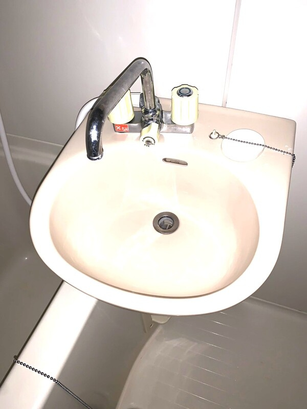 パストラルいしいの洗面所