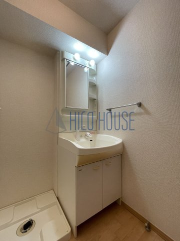 メイプル ブランシェⅡの洗面所