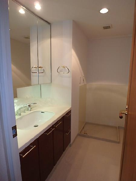 西宮門戸アーバンライフパークヴィレの洗面所