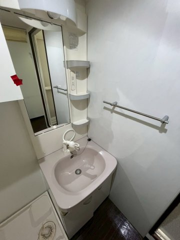 レック北梅田の洗面所