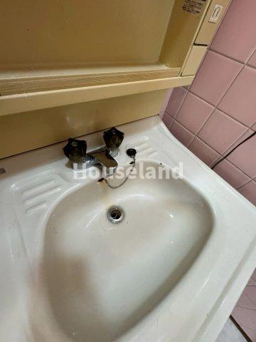 東国分戸建の洗面所