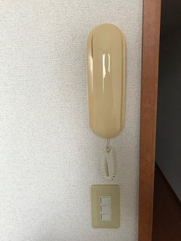 レオパレスルシファーのその他