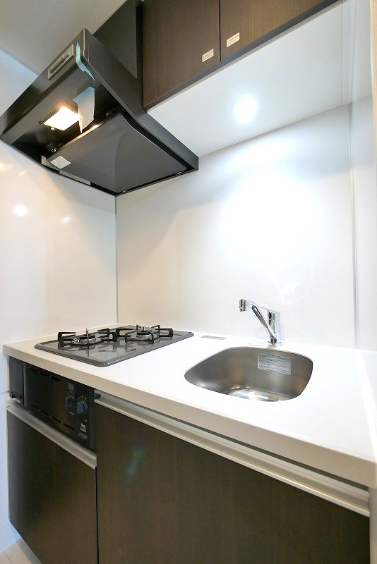 ラフィスタ新小岩Ⅲの内装