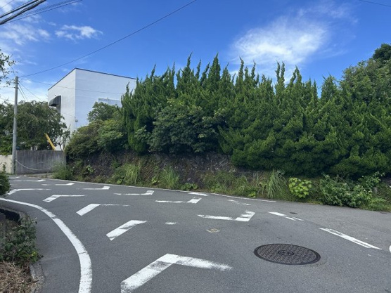 【前面道路含む現地写真】 | 大室高原別荘地　売地