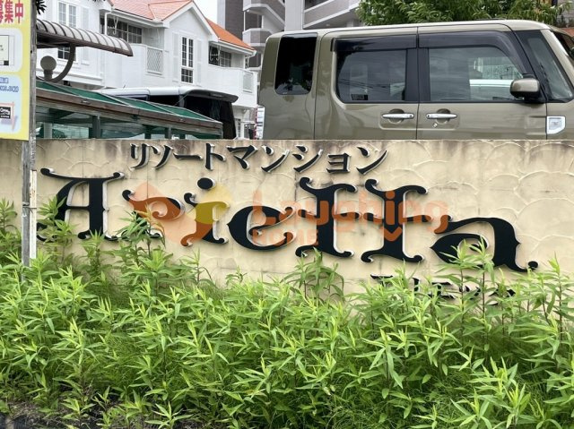 アリエッタ