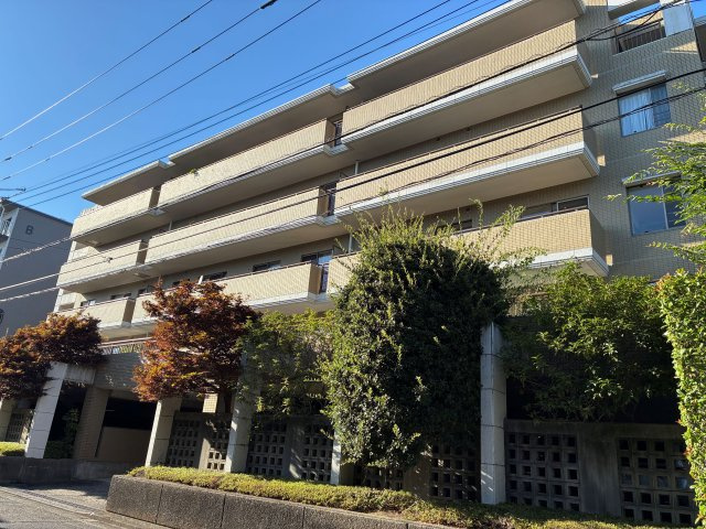 ハイコート青葉台