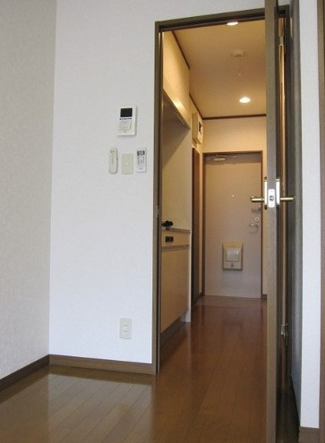 アムールハイデルⅡのその他