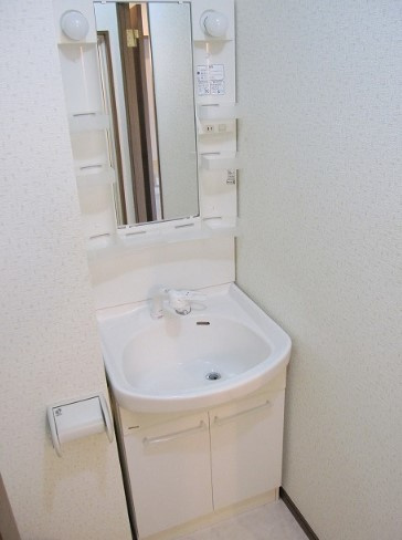 アムールハイデルⅡの洗面所