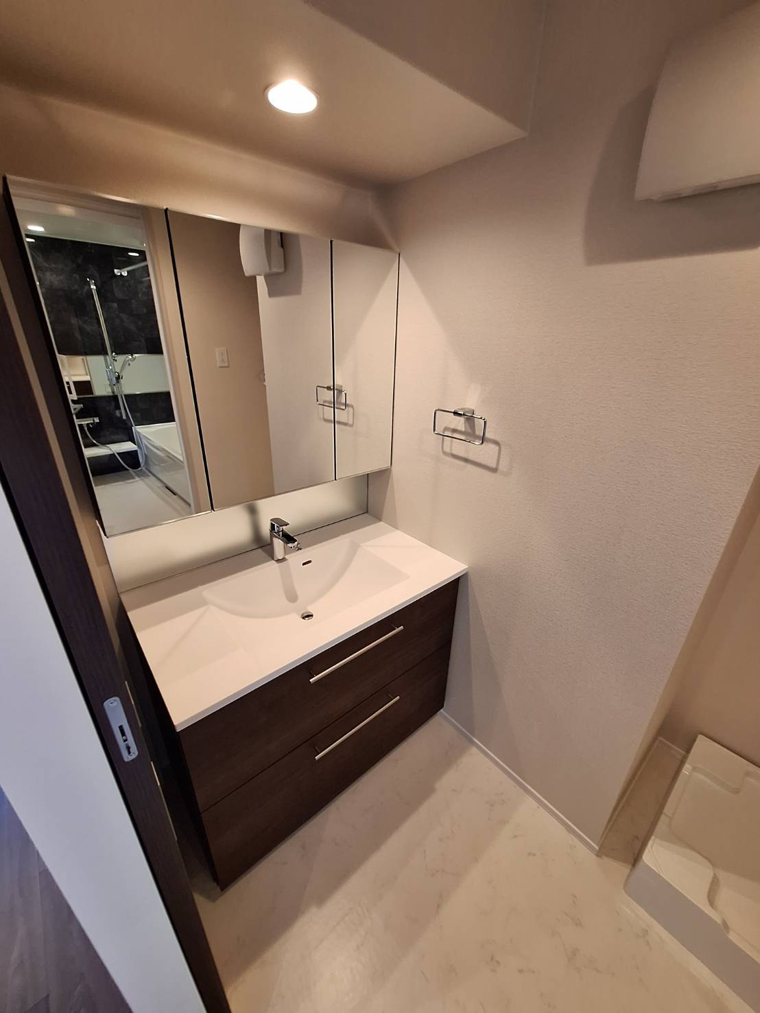 ブラッサム東海岸の独立洗面台