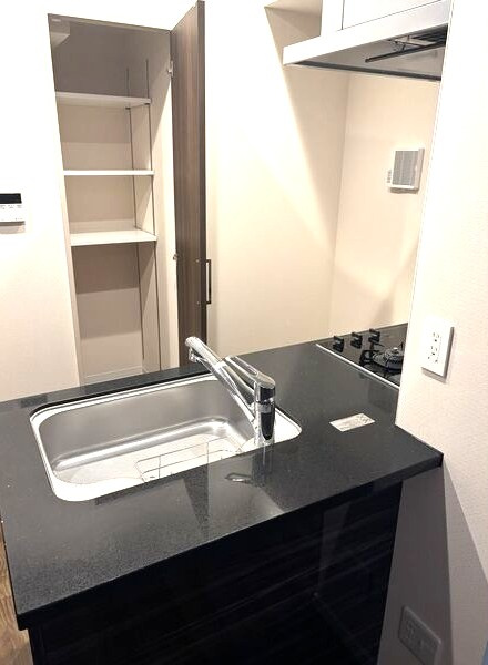 さくらHills ROKUBAN Platinum Residenceのキッチン