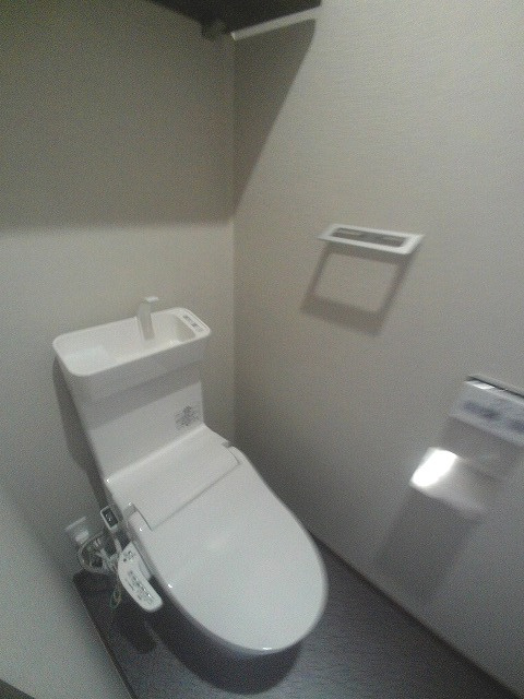 サンティアのトイレ