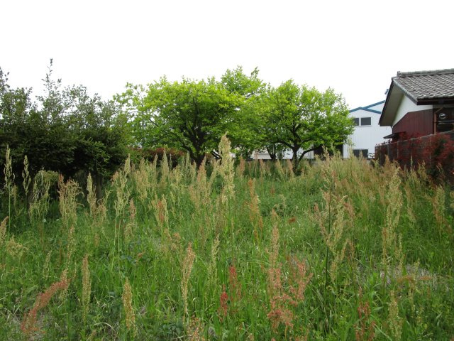 東松山市大字下野本土地　75坪の外観