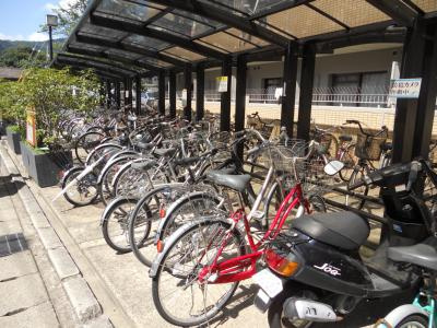 ヤングヴィレッジ嵯峨の駐車場|駐輪場