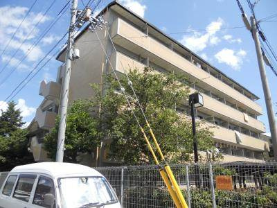 ヤングヴィレッジ嵯峨の外観