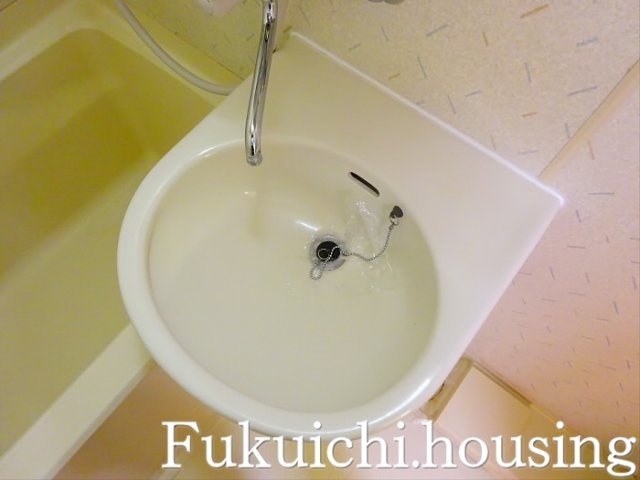 ハウス松園の洗面所