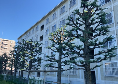 【現況写真】 | 第二カミユ八王子３号棟 | 景色重視でお家選ぶをするとスーパーが遠い！学校が遠い！など生活をするうえで利便性で困ることもあります。まず一度現地を見学する際に、周辺の施設などがあるかを確認し、暮らし始めた後のことを想像しましょう。