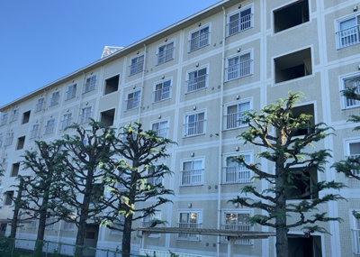 【外観】 | 第二カミユ八王子３号棟 | 道幅が広い場所は日当たりや風通が良好です。幅が広いのですれ違いも可能ですし大きな車でも駐車可能！一方で、大型車が通ることも多くなるため交通量の増加により騒音に繋がります。また土地の値段が高くなります。