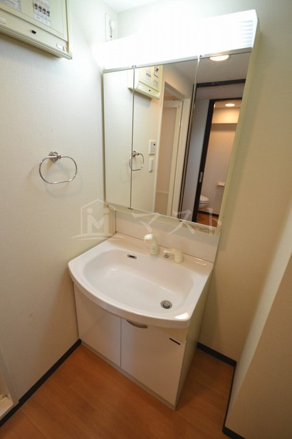 グランシス天満橋の洗面所