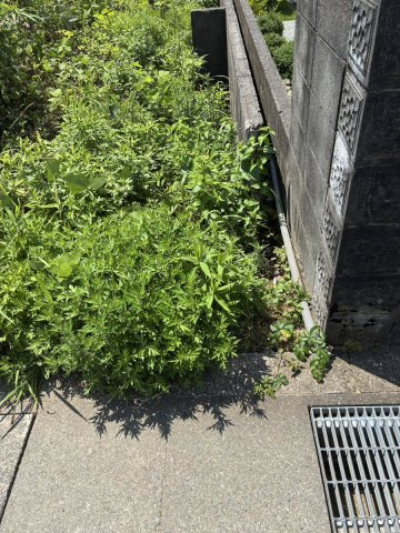 高知市長浜　売土地のその他|敷地と道路の境界付近