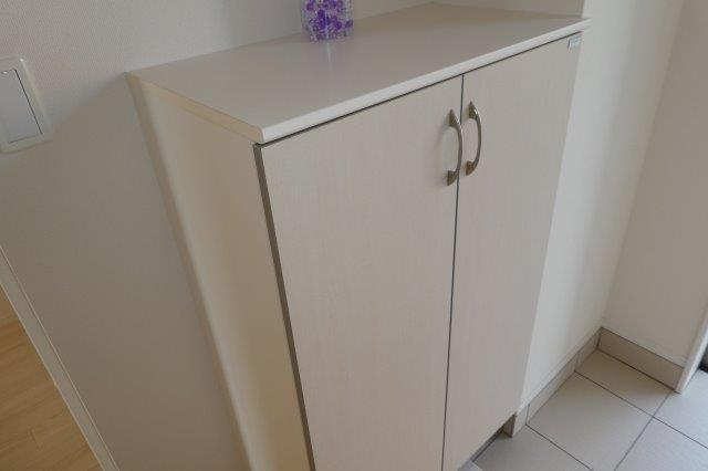 スーリールプラスⅠ番館の内装|シューズボックス