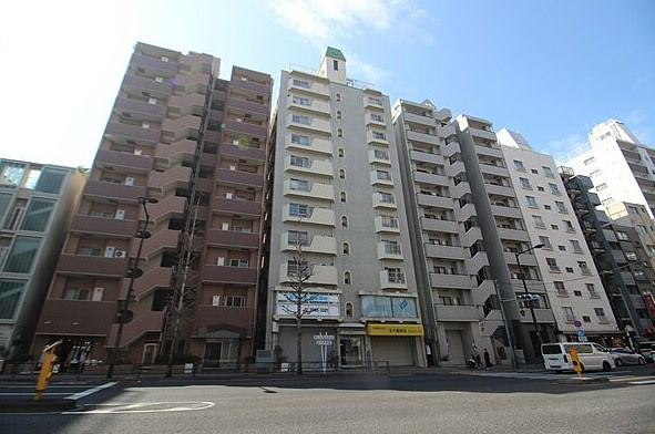 六義園サマリヤマンションの画像