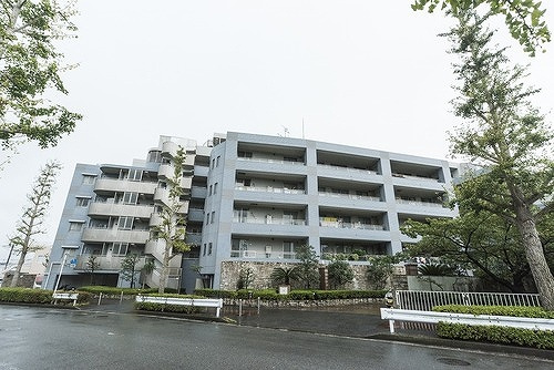 ※2019年1月撮影