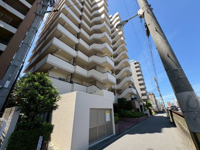 【外観】 | ディオフェルティ住吉公園通り | セブンイレブンまで徒歩３分！ツルハドラッグまで徒歩３分！ジョーシンまで徒歩７分！お買い物に便利な立地ですよ♪