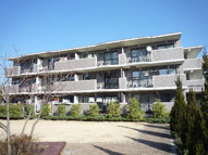 ヴェルディ羽川C館の画像