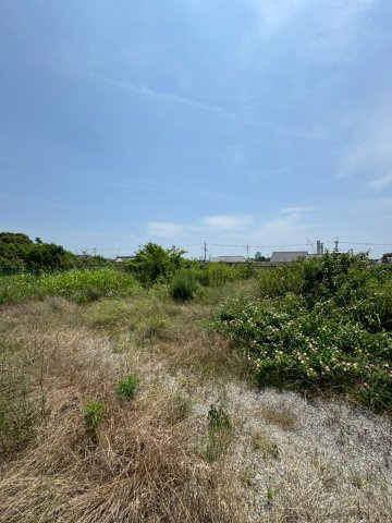 西庄借地のその他