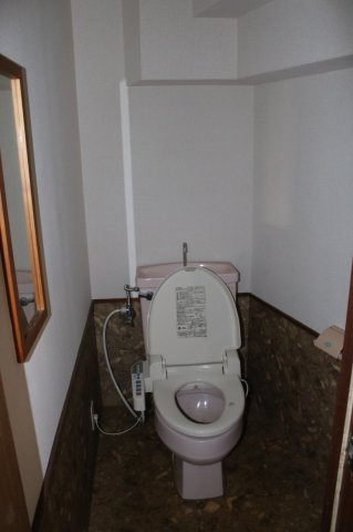 田辺ビューローヒルズⅡのトイレ