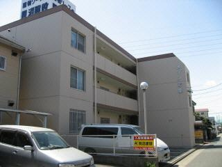 メゾン岩室の外観|きれいな外観です