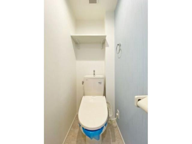 ハーモニーテラス十番Ⅱのトイレ|トイレです