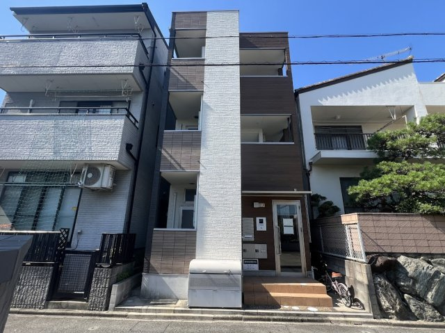 カーサルピナスティーアール