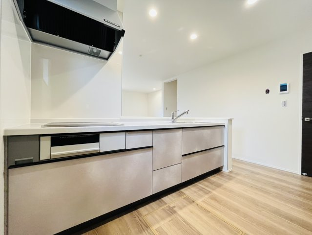 刈谷市今川町山ノ端115番1『仲介手数料無料』新築戸建てのキッチン