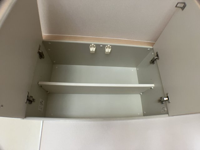 ジェネシスＫのその他