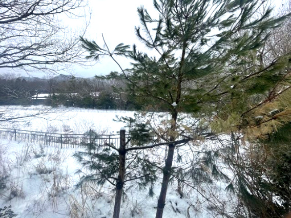大津市南小松中古戸建の展望