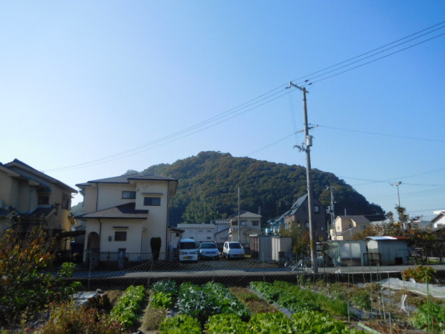 フレイグランス田寺の展望