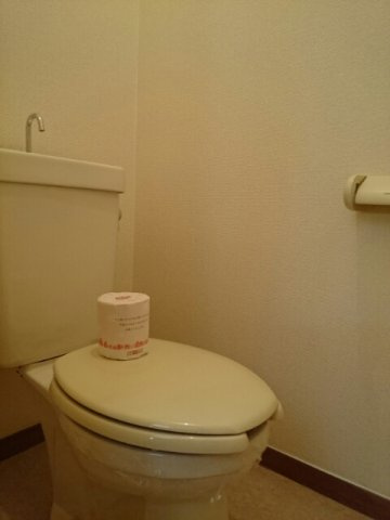 シティハイツ峰のトイレ