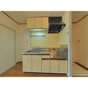 Surplus　Oneホープスの洗面所